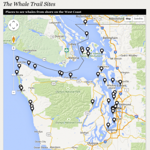 whale-watch-map