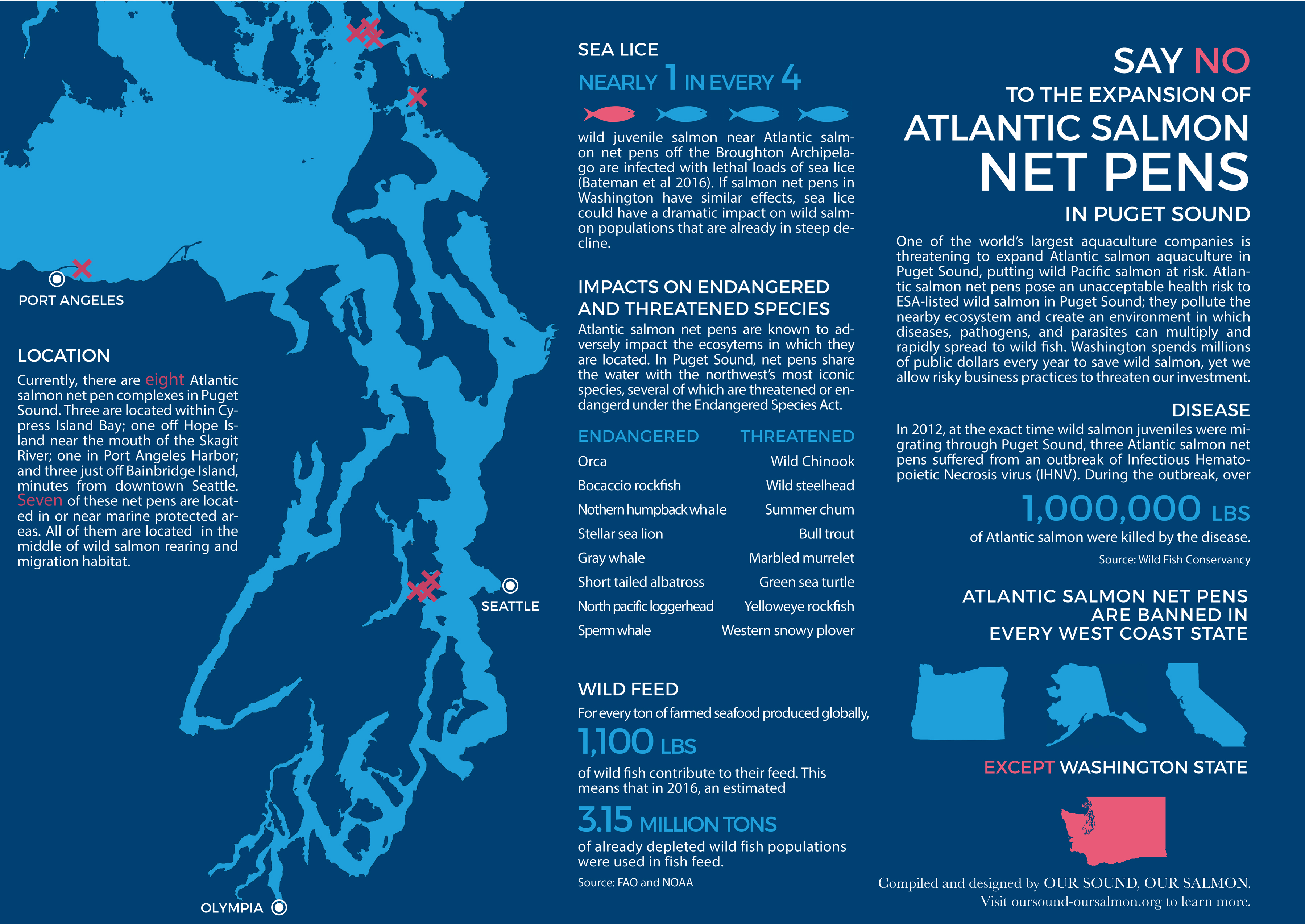 Get Involved — Our Sound, Our Salmon